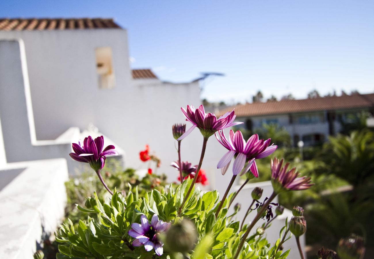 Apartamento en La Pineda - PUNTA PRIMA BLAU