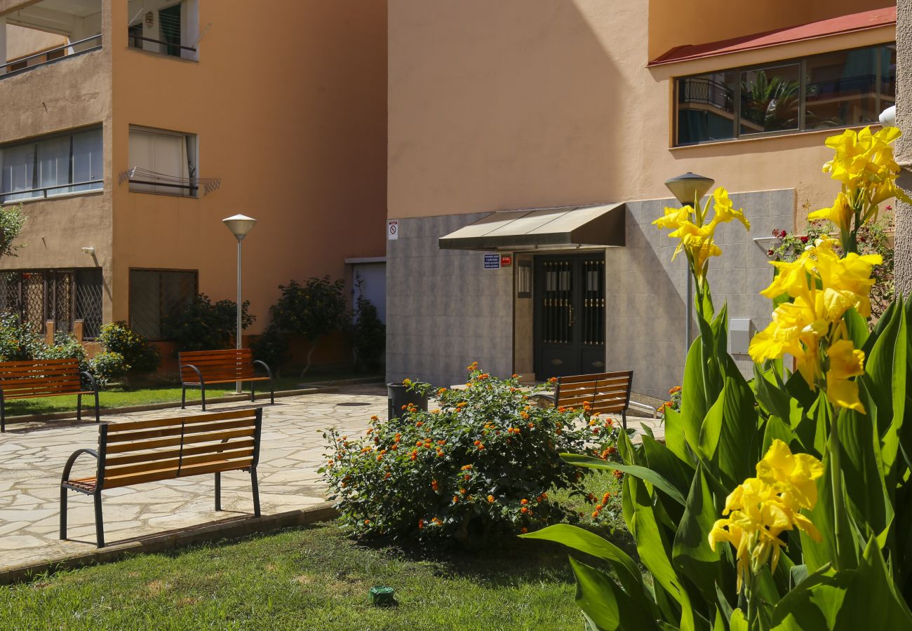 Apartamento en La Pineda - DELFINES