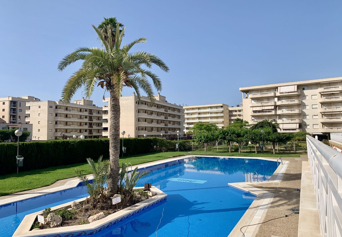 Apartamento en La Pineda - AQUAMARINA COMPLEX