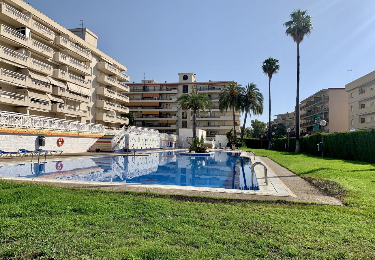 Apartamento en La Pineda - ACQUAMARINA II