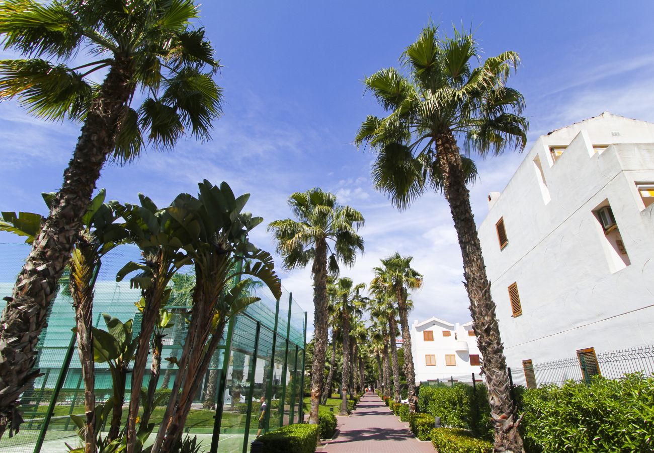 Apartment in La Pineda - PUNTA PRIMA BLAU