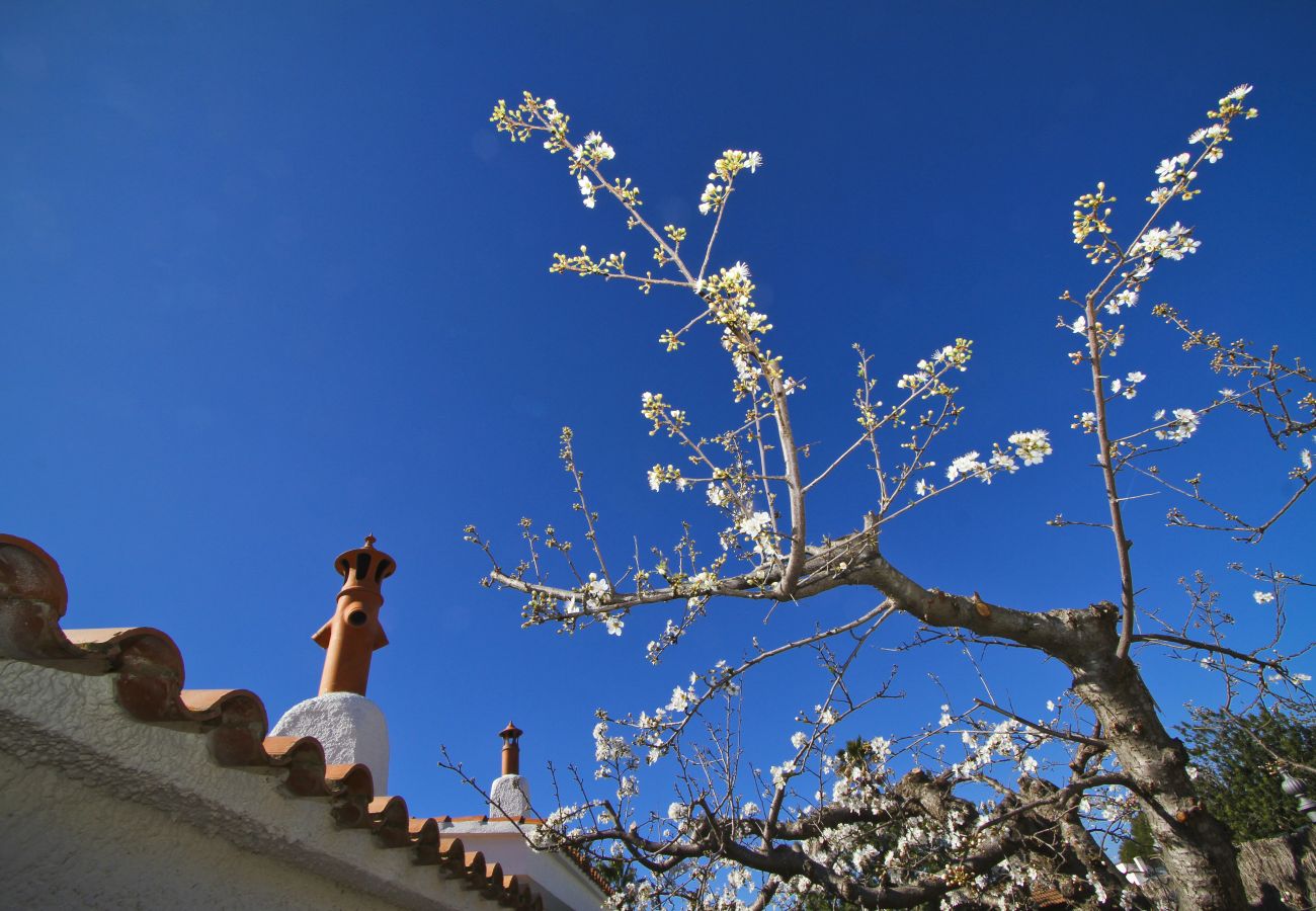 Villa in Cambrils - SANTORINI VILLA