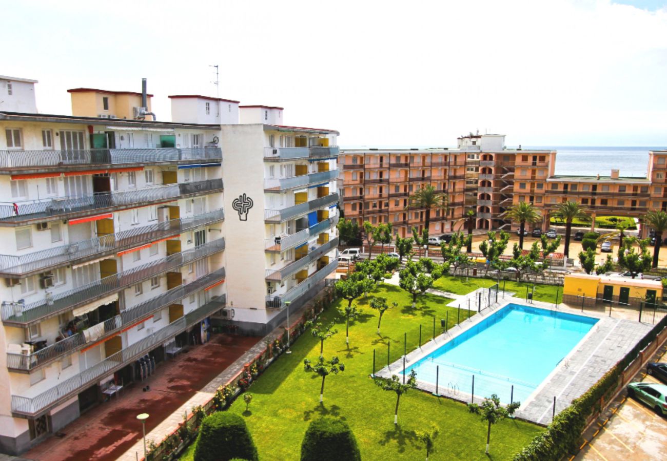 Apartment in La Pineda - PINEDA III